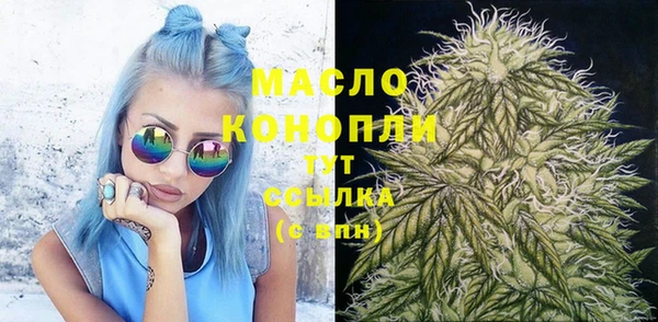 дмт Верея