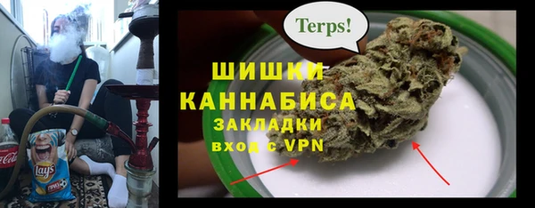 дмт Верея