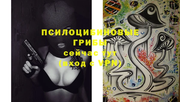 альфа пвп Верхнеуральск