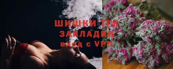 дмт Верея