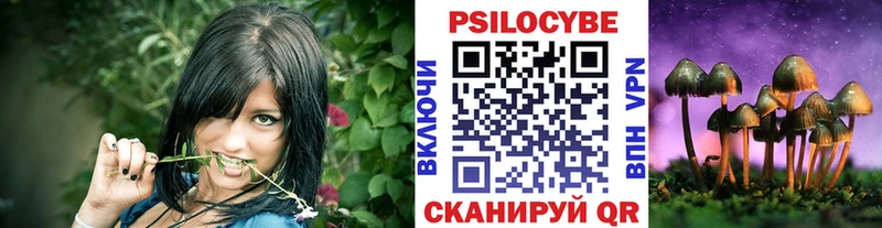 мориарти состав  Новозыбков  Галлюциногенные грибы Cubensis 